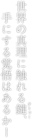 この呪紋が世界を変える力となる